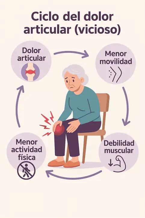 Ciclo del dolor articular